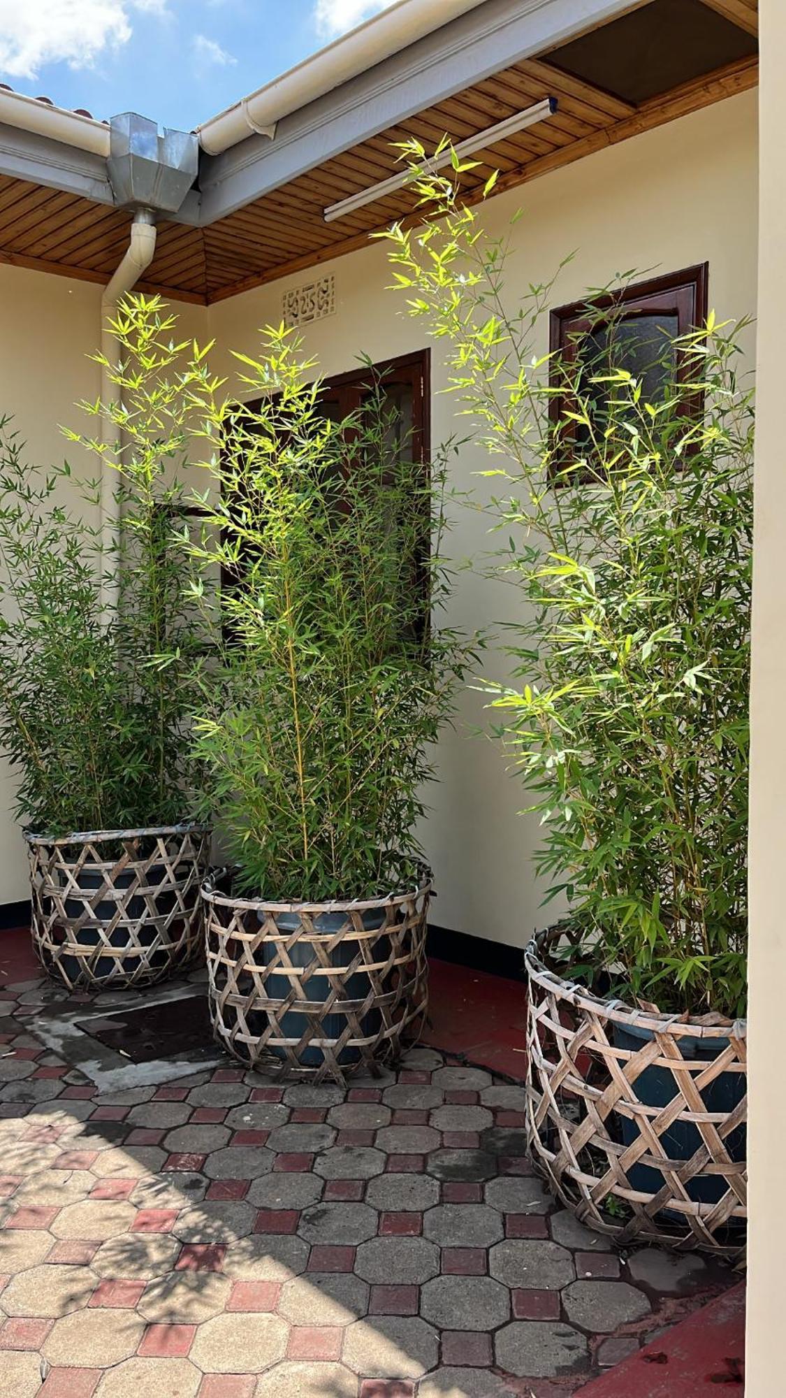 Stasumo House Arusha Exterior foto